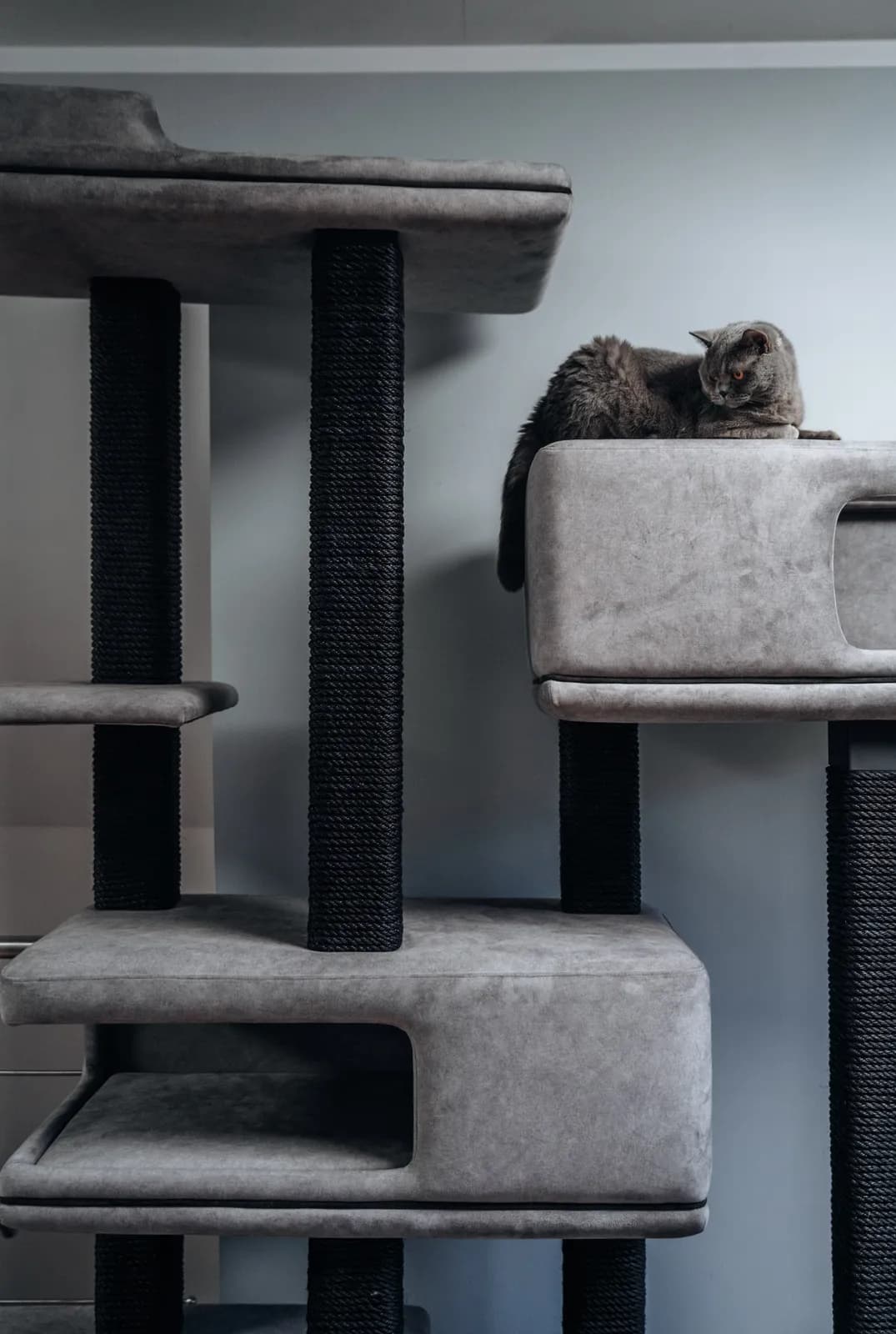 ATLAS Prime – modularer Kratzbaum für große Katzen, Ansicht 2